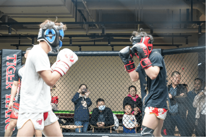 爱游戏视频-胜负之争再起，球场搏击精彩绝伦的简单介绍