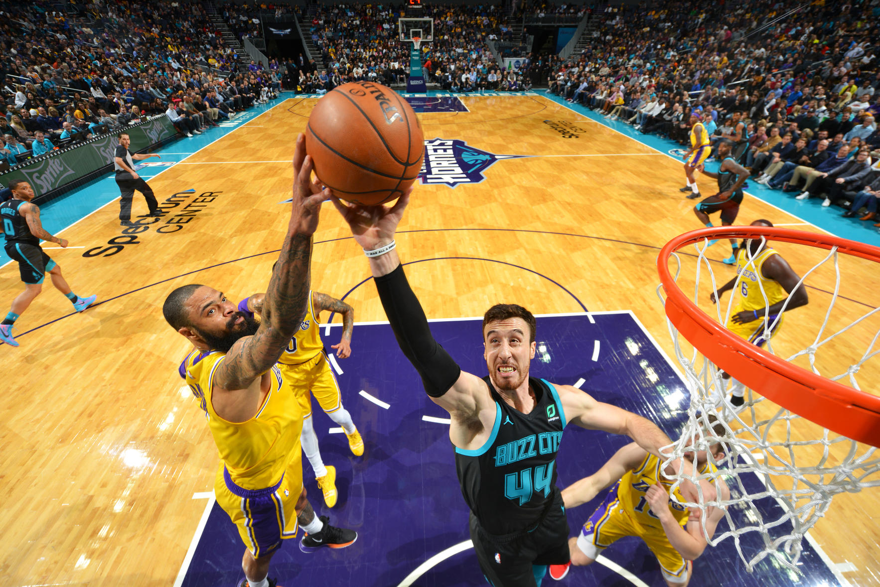 夏洛特黄蜂客场大胜犹他爵士,格雷厄姆分 夏洛特黄蜂客场大胜犹他爵士,格雷厄姆分