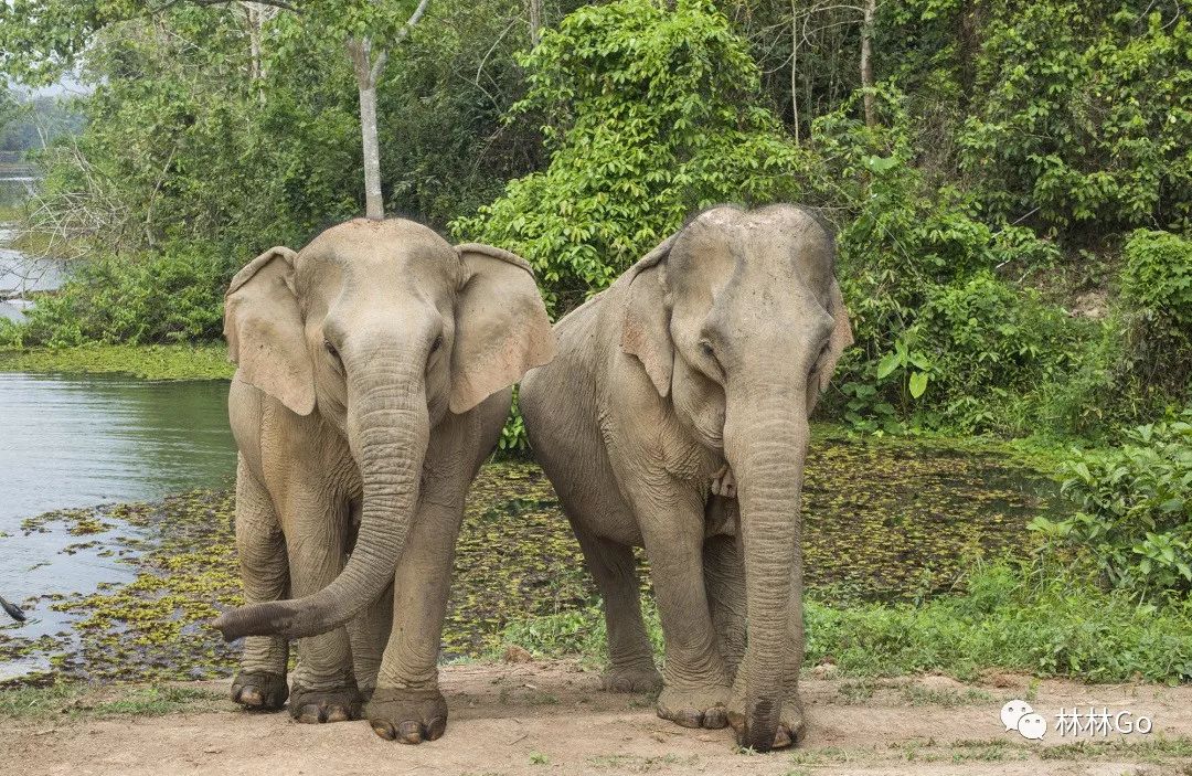 老挝上次场上险胜欧国联比赛 老挝上次场上险胜欧国联比赛