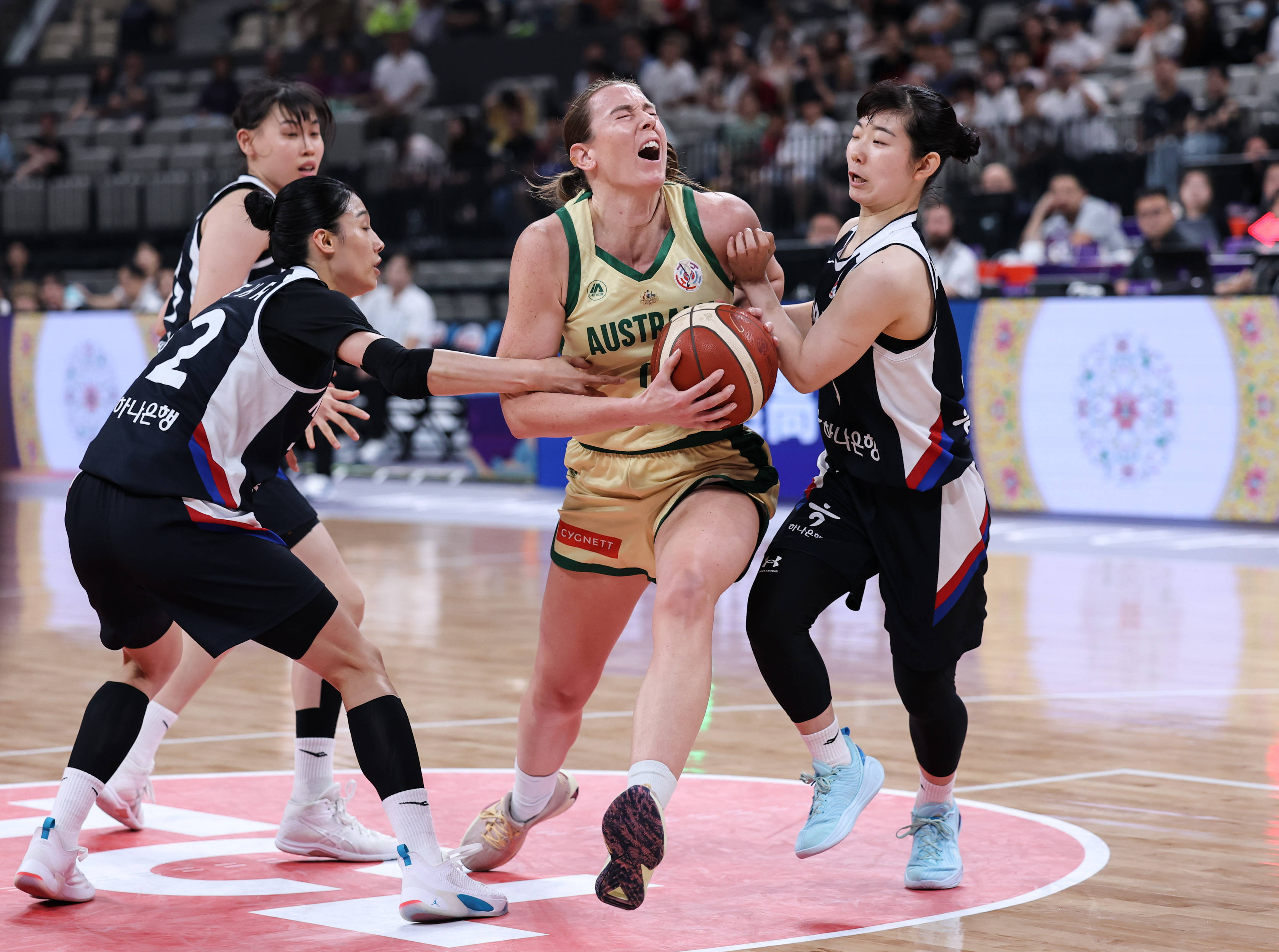 澳大利亚女足获得亚洲杯亚军